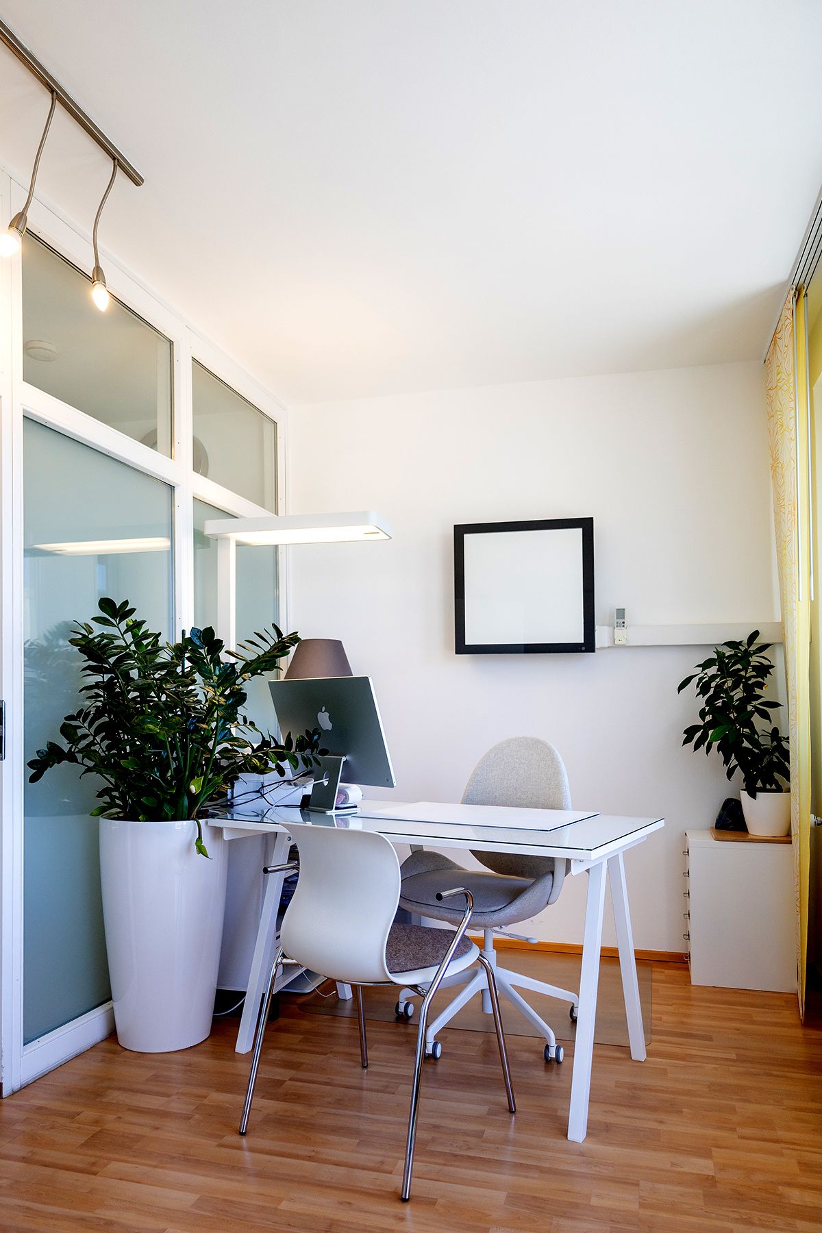 Imusym Praxis Impression 5