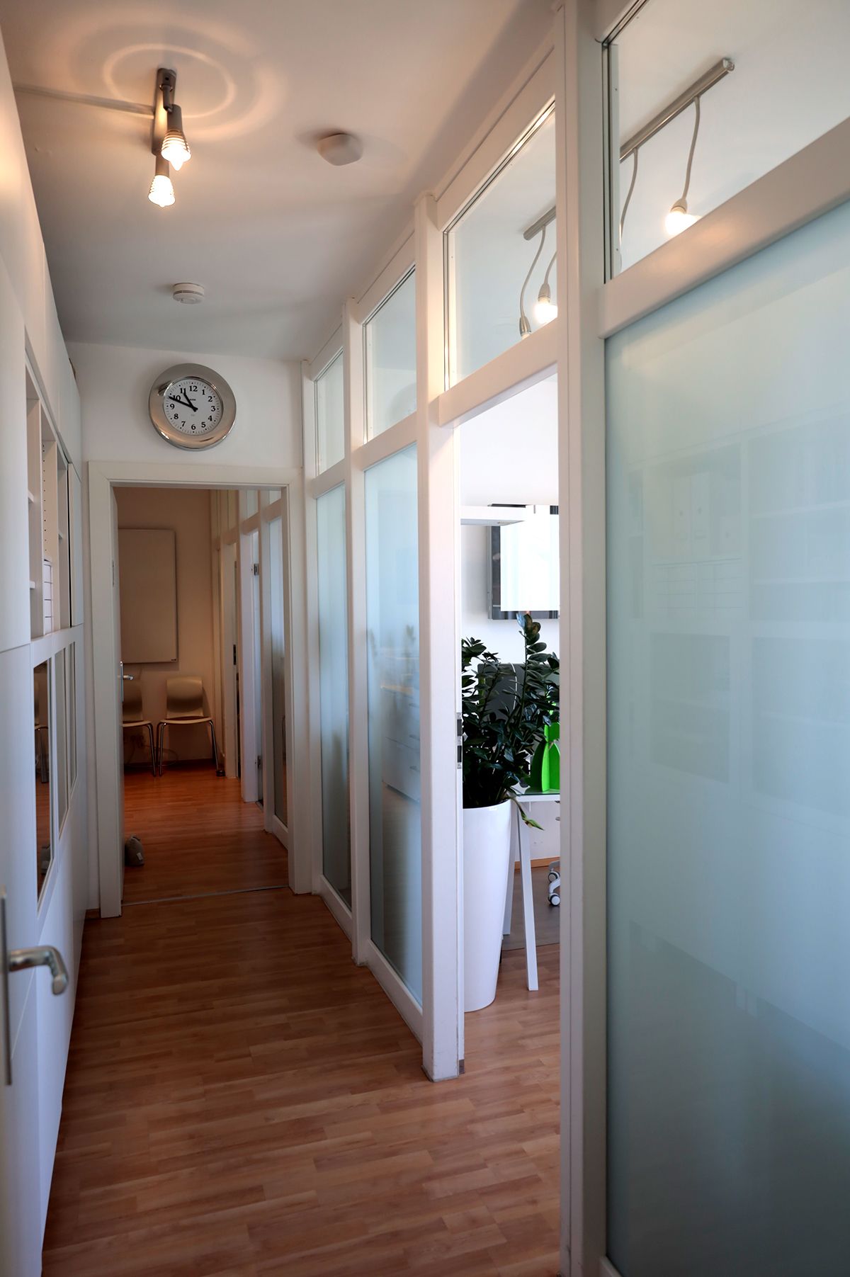 Imusym Praxis Impression 2