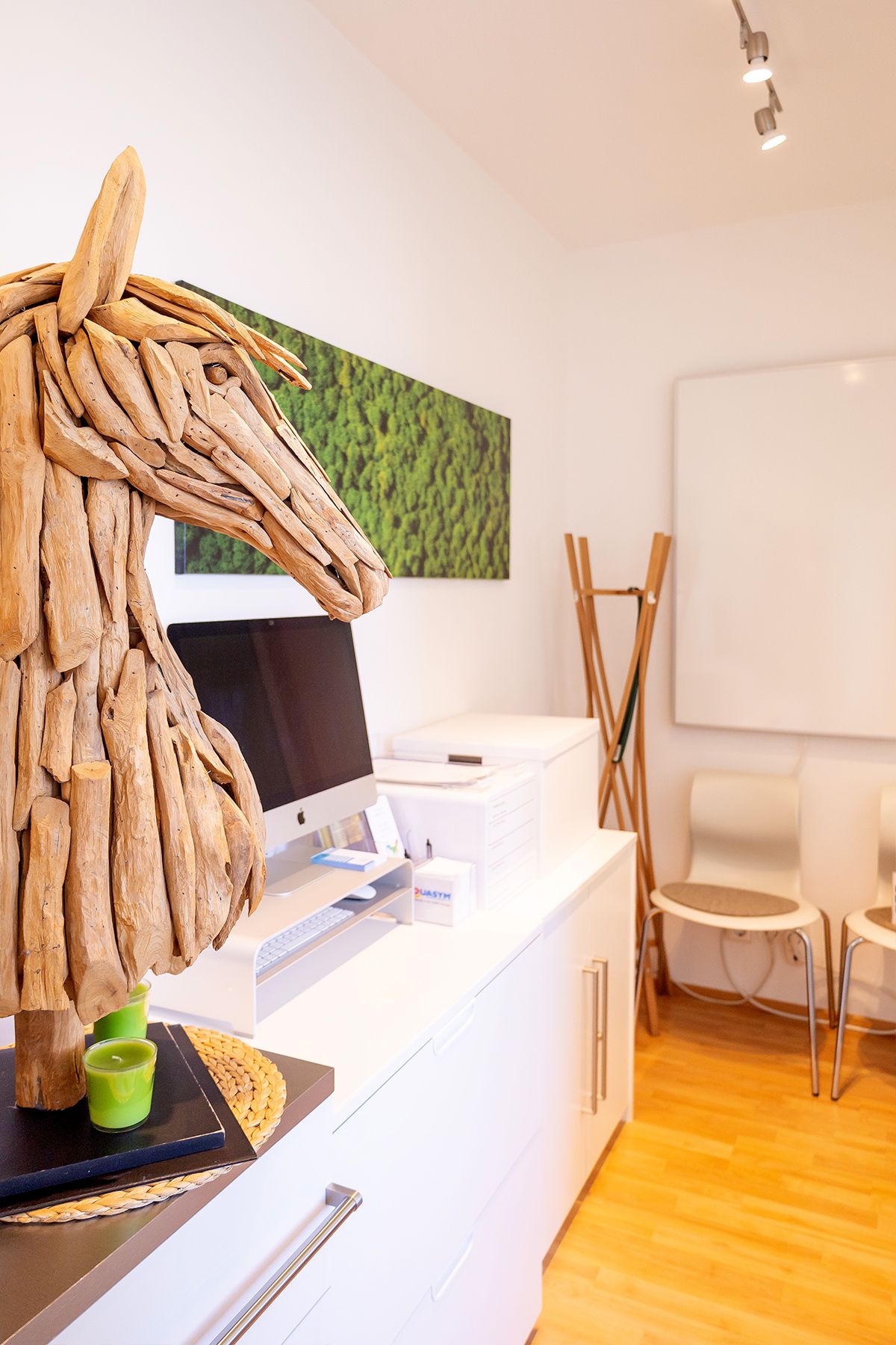 Imusym Praxis Impression 12