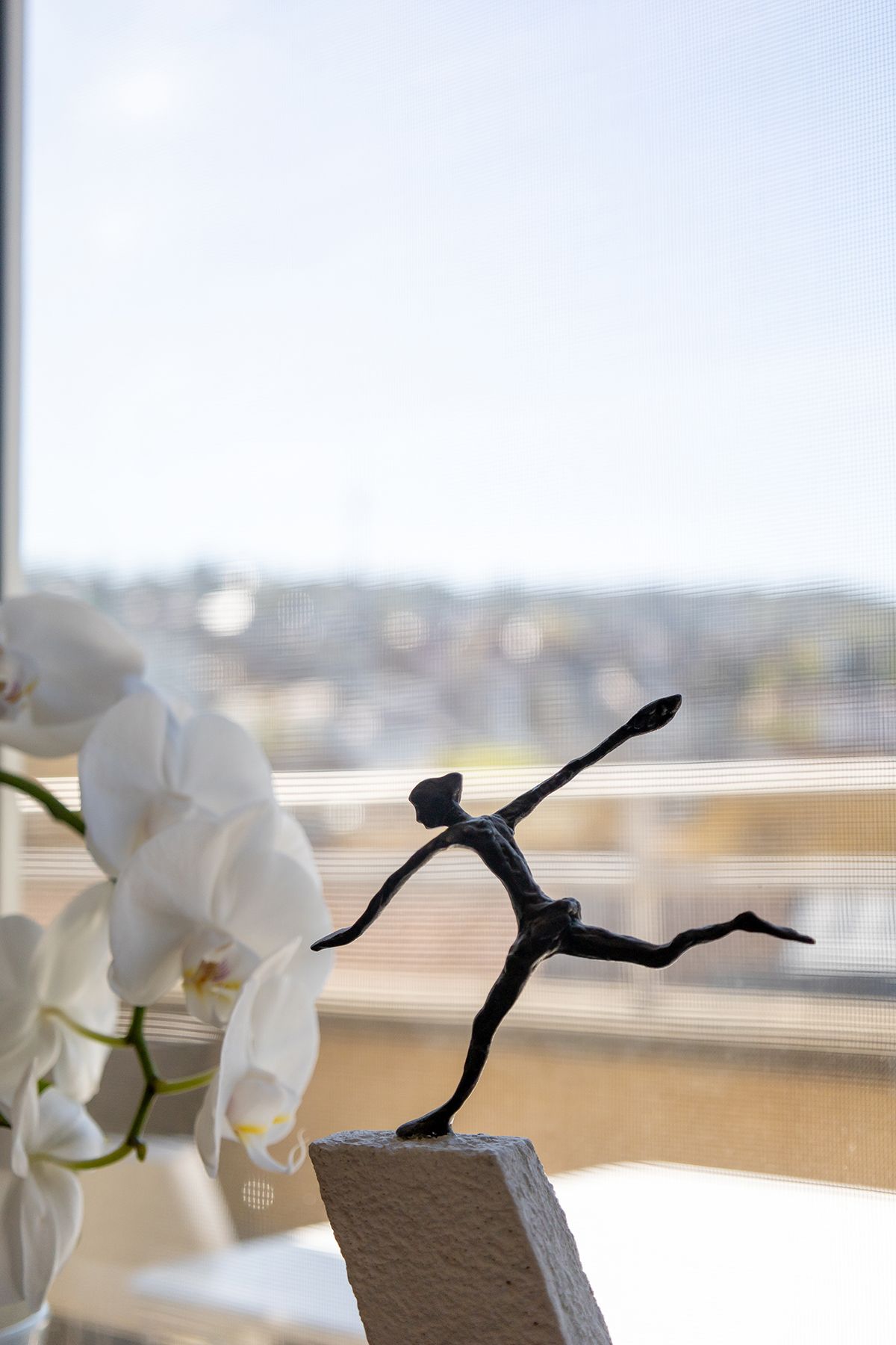 Imusym Praxis Impression 4