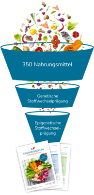 Stoffwechselprogramm Ernährungsberatung in unserer Praxis in Stuttgart