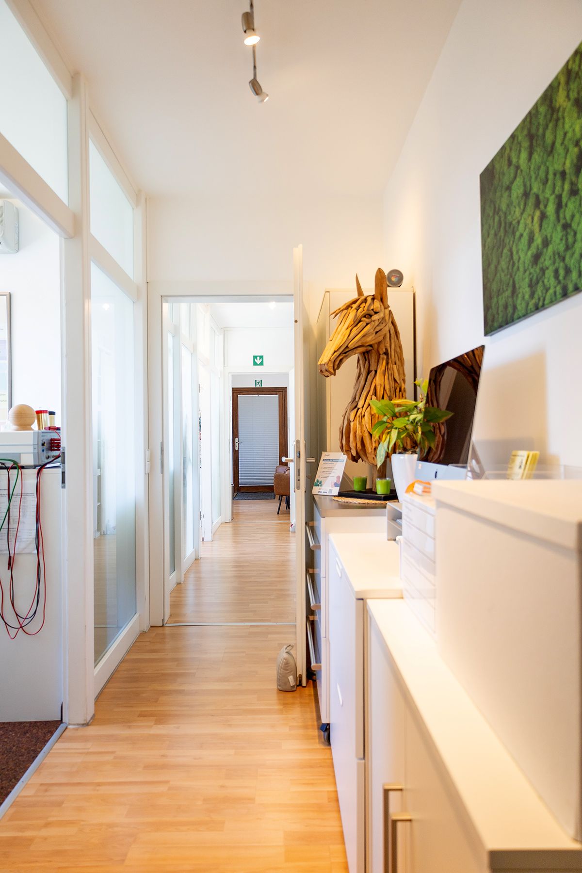 Imusym Praxis Impression 11